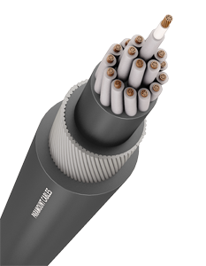 https://site.paramountcables.com/wp-content/uploads/2017/08/02_control-cable-unscreened_long.png