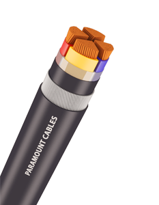https://site.paramountcables.com/wp-content/uploads/2017/08/03_lt-power-cable_long.png