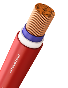 https://site.paramountcables.com/wp-content/uploads/2017/08/building-wires_long.png