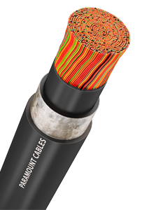 https://site.paramountcables.com/wp-content/uploads/2017/08/home-product-06.png