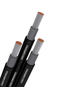 https://site.paramountcables.com/wp-content/uploads/2017/08/solar-cable-long.png