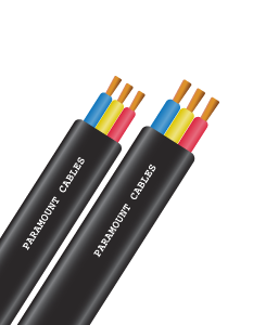 https://site.paramountcables.com/wp-content/uploads/2017/10/01_submersible_PVC_long.png
